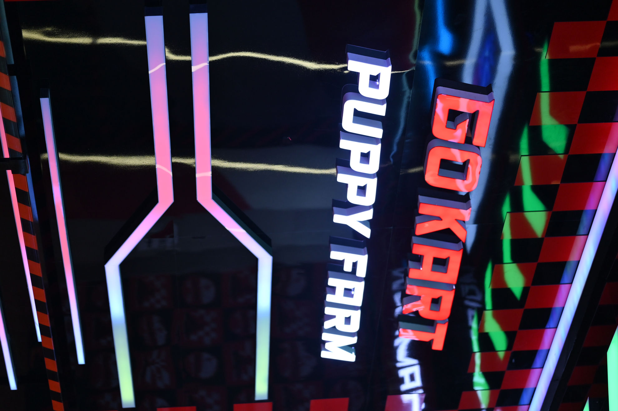 Trò chơi Go Kart tại Puppy Farm