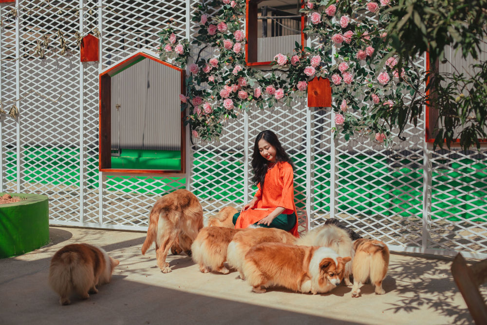 Nông Trại Cún Đà Lạt