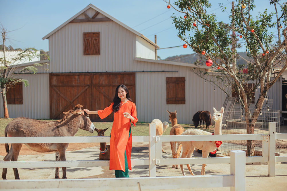 Không gian Puppy Farm