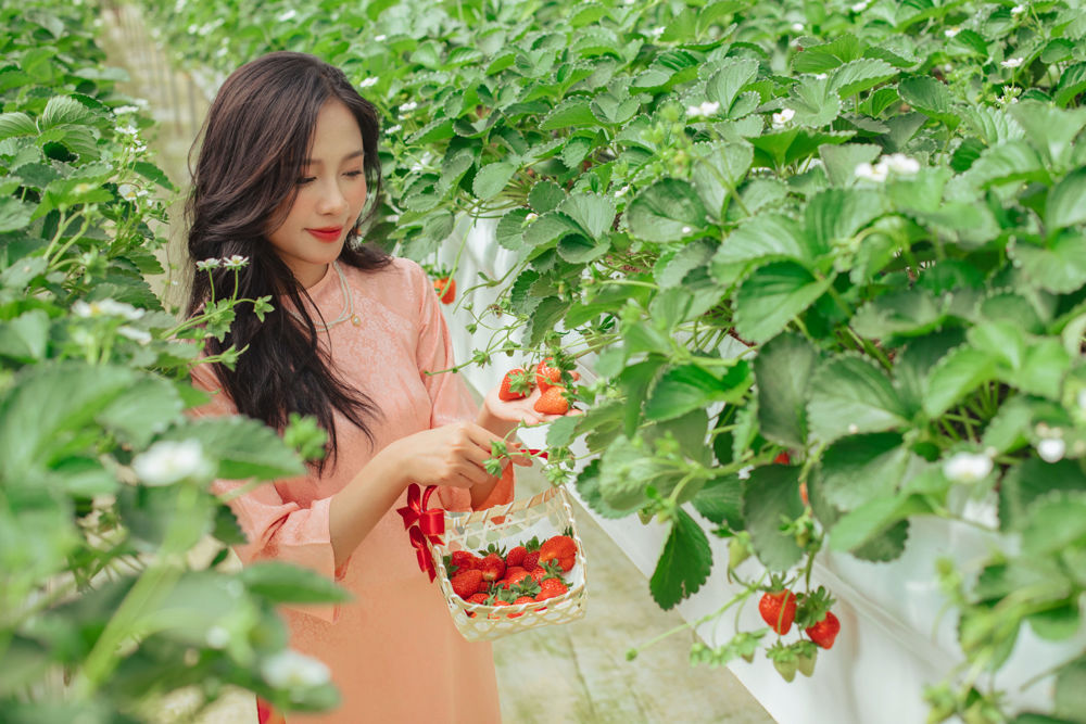 Cảnh quan tươi đẹp Nông Trại Cún