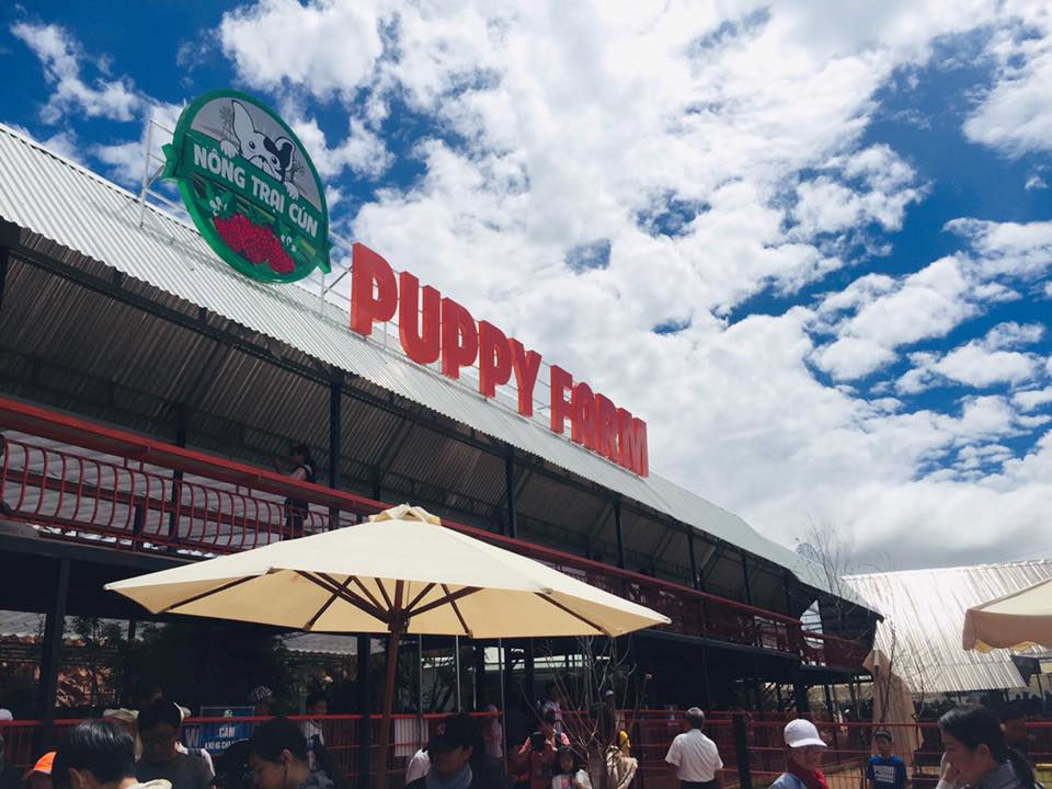 Du lịch Đà Lạt tháng 12