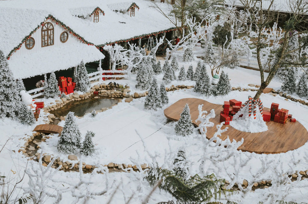 Nông Trại Cún Đà Lạt